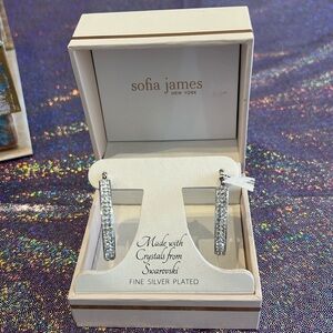 Oval hoop silver plated earrings